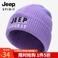 吉普（JEEP）帽子男毛线帽男女士秋冬防风护耳保暖针织帽款时尚韩版潮流休闲百搭防寒冬帽A0607 紫色