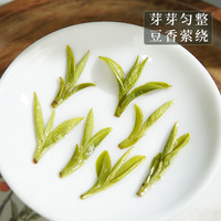 川盟 龙井明前绿茶2024年新茶浙江豆香茶叶散装自己喝春茶礼盒炒青早茶