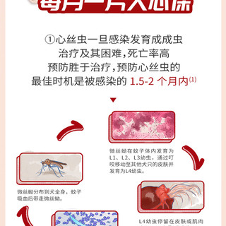 eartgard 犬心保 美国进口犬心保狗狗驱虫药牛肉味比熊泰迪幼犬成犬心丝虫驱虫药