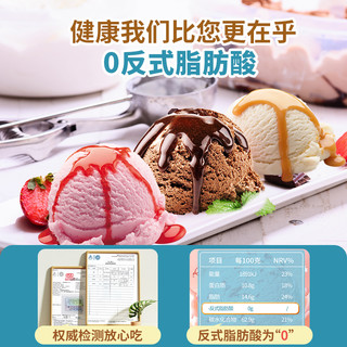 Bake Friend 焙芝友 冰淇淋粉家用自制手工哈根雪糕达斯配料七彩硬冰激凌粉商用夏