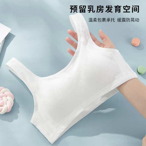 中学　文胸 内衣文胸_ALDOLA 雅黛俪女童内衣发育青春期二阶段中学生女孩小背心初高中少女文胸多少钱-什么值得买