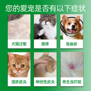 宠物狗狗猫咪皮肤病马来酸氯苯那敏片口服药瘙痒过敏止痒皮炎湿疹荨麻诊症脱毛红肿猫癣狗癣螨虫瘙痒止痒药 猫癣狗癣过敏止痒组合