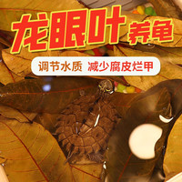 宠小帅龙眼叶乌龟原生态干腐皮烂甲龟药鱼缸水族箱净化水质天然干龙眼叶 【5包】龙眼叶小茶包
