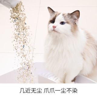 petshy白茶型猫砂1.5mm可冲厕家用10kg膨润土除臭 白茶【1.5mm2.5kg】*8包