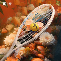 Wilson威尔胜法网联名儿童青少年初学者网球拍ROLAND GARROS ELITE 21