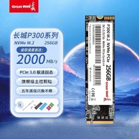 Great Wall 长城 P300 M.2固态硬盘 PCIe 3.0 256GB