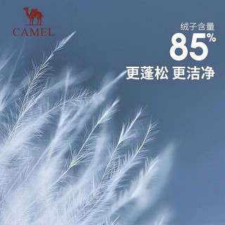 骆驼（CAMEL）三防一冲锋衣户外登山服防风防雨防污抓绒羽绒内胆运动外套 【真选套盒】番木棕/椰壳色XBMH XL