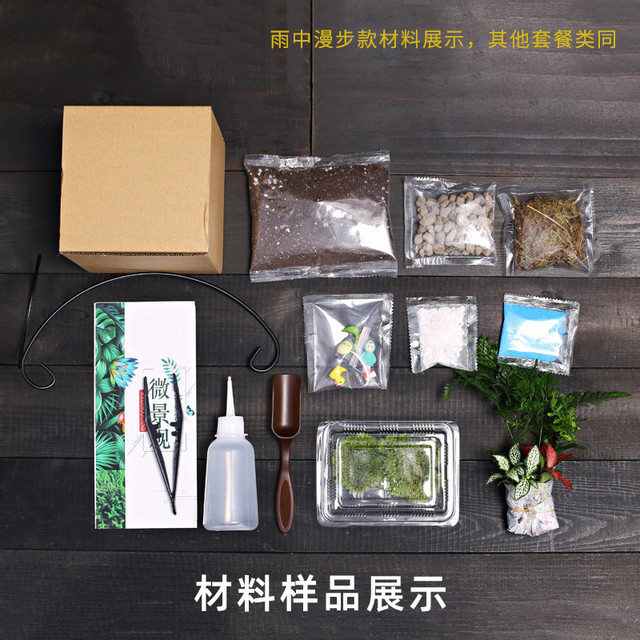JINGJIAO 菁娇 创意鲜活苔藓微景观 diy材料包