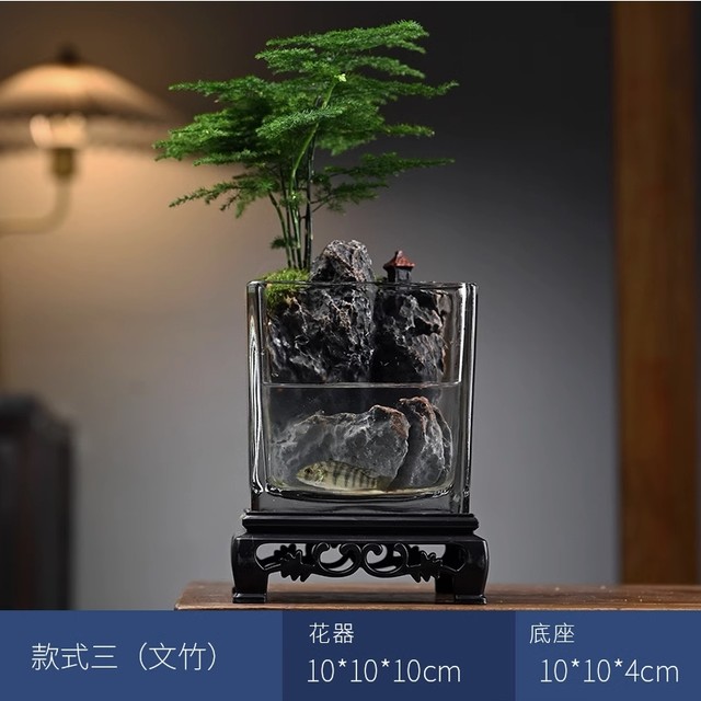 客器 【兰亭】微景观-文竹