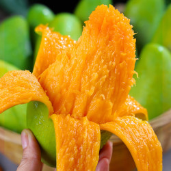 mrseafood京鲜生金煌芒果5斤装单果150g起小果青芒水果源头直发