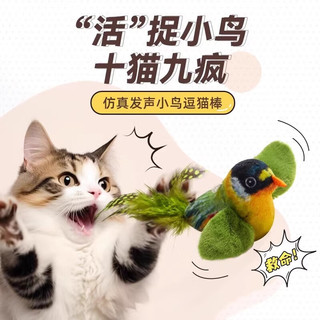 TAIGEPETS猫咪玩具逗猫棒仿真发声小鸟玩具幼猫自嗨解闷耐抓咬宠物用品 发声玩具-彩色知更鸟