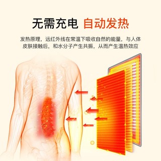 南极人（Nanjiren） 自发热护腰带保暖男女士加热腹部暖腰护胃护肚男女中老年收腹带 【四季】艾草自发热款 XXL码【170-210斤】