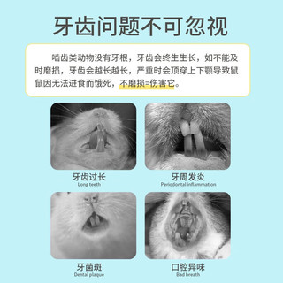 YEE仓鼠磨牙零食洁齿骨磨牙棒气小黄牙金丝熊花枝鼠玩具用品套装 小黄牙洁齿骨 5个装