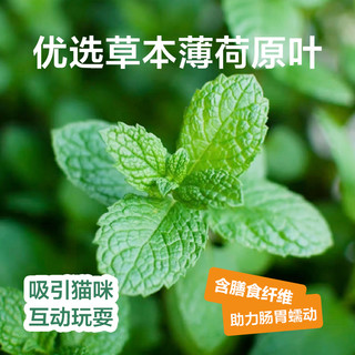 YANXUAN 网易严选 猫薄荷饼干猫草粒磨牙棒幼猫零食营养增肥专用猫咪零食