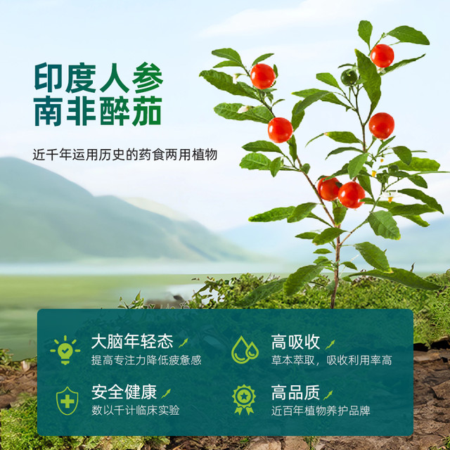 Himalaya 喜马拉雅南非醉茄假马齿苋印度人参降低皮质醇舒缓焦虑安稳好眠