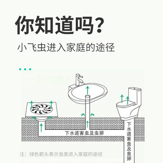 金鸟下水道小飞虫灭杀飞蛾杀虫剂卫生间浴室下水道蛾蚋除虫剂