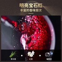 沙地酒庄 馆藏系列馆藏六年赤霞珠干红葡萄酒750ml红酒送礼单支装