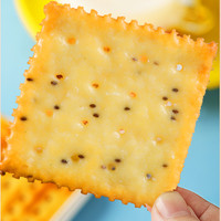 VIVIGA 味倍加 海盐苏打饼干咸味奇亚籽苏打饼干海盐味低糖小包装