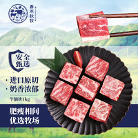 春禾秋牧 原切牛腩块1kg 炖煮烧烤 生鲜冷冻牛肉