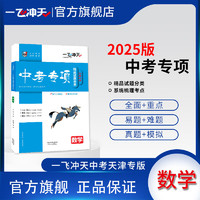 2025版天津一飞冲天中考专项精品试题分类数学初中总复习专题分项练习中考一轮复习