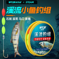 威拓森（weituosen）鱼线溪流钓主线组小白条石斑鱼鳑鲏马口小鱼三粒漂小物七星漂钓组 4.5米/金袖【钓组5个装】/1号 无刺