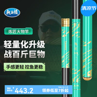 龙王恨（LOONVA）鱼竿 炼匠巨物杆碳素钓鱼手竿 钓鱼鲫鱼野钓大物鲢鳙青鱼草鱼竿 10米（钓断赔·挑战百斤巨物）