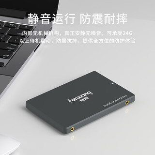 梵想（FANXIANG）4TB SSD固态硬盘 SATA3.0接口 高速低功耗 电脑升级核心稳定组件 FP325Q