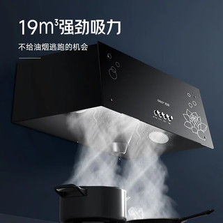 SAST抽油烟机中式小户型家用大吸力经典老式吸油烟机CXW-180-X31S/3