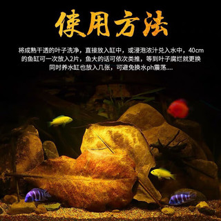 悠梵萌鱼缸榄仁叶乌龟橄榄叶水族斗鱼懒人叶降酸调节水质Ph值养龟龙眼叶