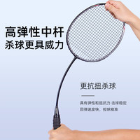 FLAGLOADS 弗格兰诗 大学生选修单双拍专业学生羽毛球拍超轻全碳素纤维耐打官方正品