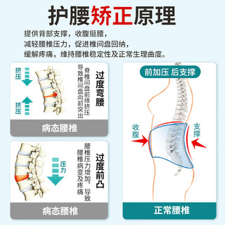 道禾（DOHOPE）医用护腰带腰间盘突出钢板支撑运动夏季轻薄透气男女士久坐腰疼