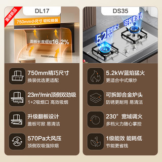 SUPOR 苏泊尔 DL17+DS35 顶侧双吸式烟灶套装 5.2kw 天然气