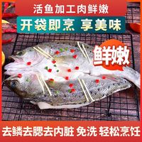 百亿补贴：GUOLIAN 国联 国产新鲜酒香海鲈鱼 350-400g*5条/8条