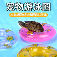 宠小帅宠物游泳圈浮排乌龟玩具移动晒背台爬台小型爬宠用品用具装饰造景 【蓝色】造景游泳圈