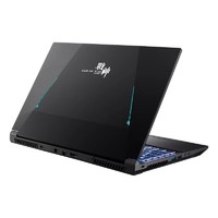 百亿补贴：Hasee 神舟 战神G8 17.3英寸游戏笔记本电脑（I7-13620H、16GB、1TB、RTX4060）