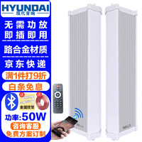 HYUNDAI现代 50W户外蓝牙防水音柱 室外挂墙壁挂式音响功放喇叭套装音箱学校操场广播音乐 一拖一