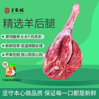 羊家旺宁夏滩羊肉生鲜羊肉 整只羊后腿新鲜精修羊腿5斤年货礼盒源头直发 5斤精修羊后腿