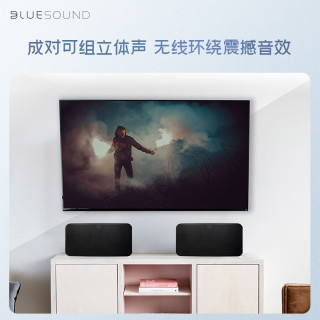 BLUESOUND PULSE MiNi 2i HIFI音箱