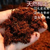泽驭名宠无菌椰土垫材乌龟冬眠蜘蛛蝎子爬虫角蛙蜗牛保湿苔藓免泡直接用 椰土2斤