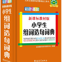 小组词造句词典（彩色插图版）