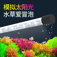 森森（SUNSUN）鱼缸潜水灯变色LED灯七彩照明水族箱造景灯龙鱼防水灯管 双排高亮灯珠白色(5W 28cm长)带开关