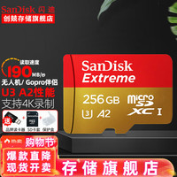  SanDisk/闪迪 4K高清拍摄 micro SD卡  256GB