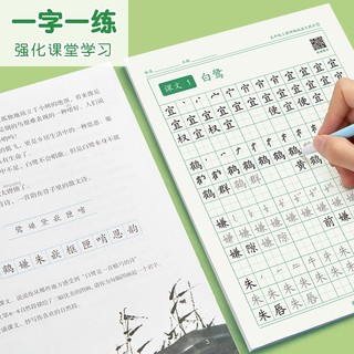 五年级下册小语文同步练字帖笔顺笔画练字纸 5年级 同步练习纸（下册）