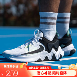 nike耐克男鞋新款giannisimmortality字母哥缓震篮球鞋dm0826101dm