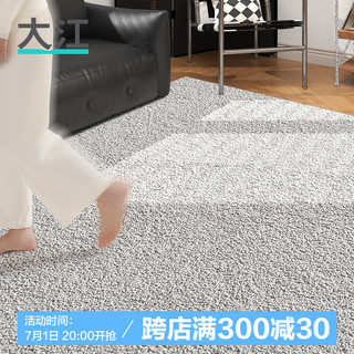 DAJIANG 大江 客厅地毯轻奢感沙发地毯茶几毯卧室床边毯易打理现代简约 海格斯-云雾灰DT22-CC-04 300x200cm