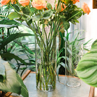 SHIJING YUN 诗静歆 亚克力防摔花瓶摆件客厅插花透明水养富贵竹直筒轻奢高级感醒花桶