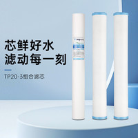 碧丽 商用净水设备直饮机滤芯PP棉活性炭组合滤芯 型号TP20-3