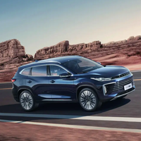 EXEED 星途 凌云 25款 300T 双离合两驱星耀版