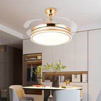 FEWE 飞稳 金色隐形风扇灯 42寸