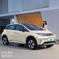 比亚迪 BYD 海豚